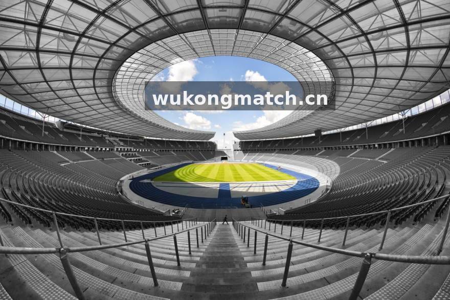悟空体育2026年智慧体育生态布局阶段